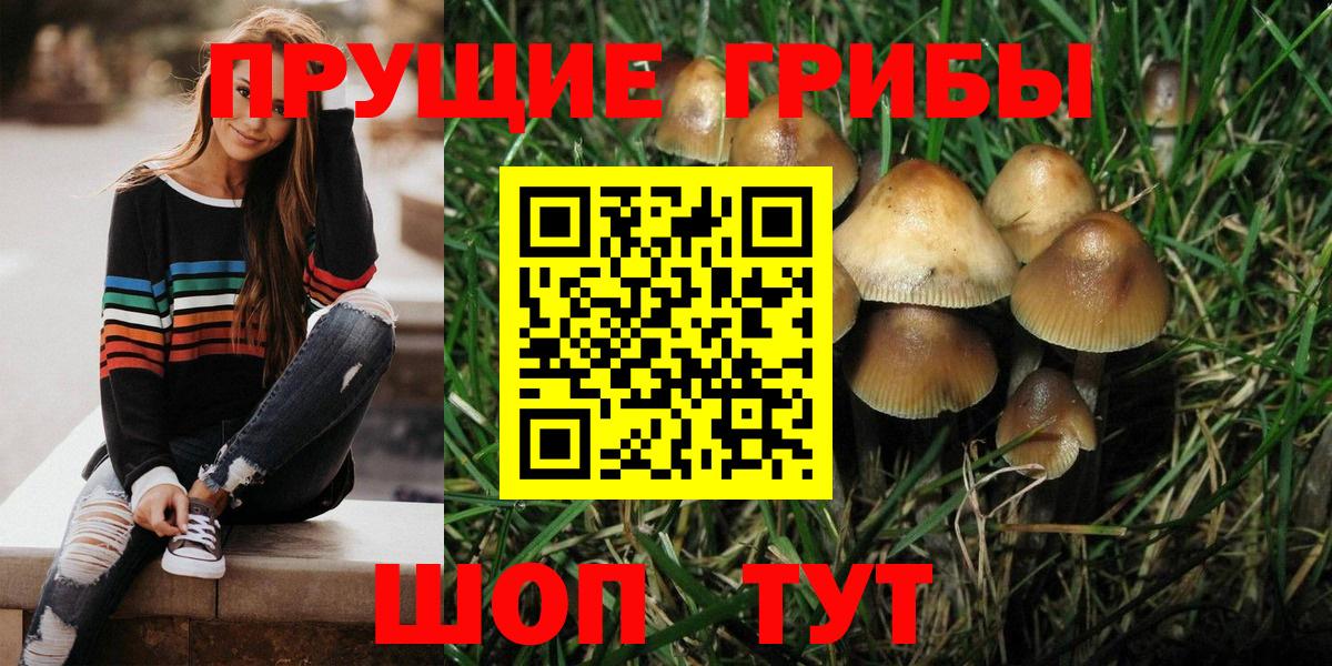 Электрогорск  Галлюциногенные грибы мухоморы  купить наркоту  Псилоцибиновые грибы прущие грибы  Вход с VPN 
